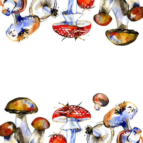 Aquarelle cadre botanique complet sur fond blanc. Thème naturel avec et champignons bruns. Illustration de cadre botanique pour cartes postales, affiches, dessins textiles et autres. — Photo