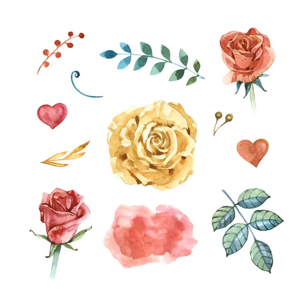 Ensemble d'illustration floral aquarelle. Collection éléments de fleurs bricolage - parfait pour les bouquets de fleurs, couronnes, arrangements, invitations de mariage, anniversaire, anniversaire, cartes postales, salutations, cartes, logo. — Photo