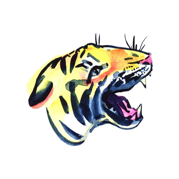 Watercolor illustration of a tiger isolated on white background — Stock Photo, Image
