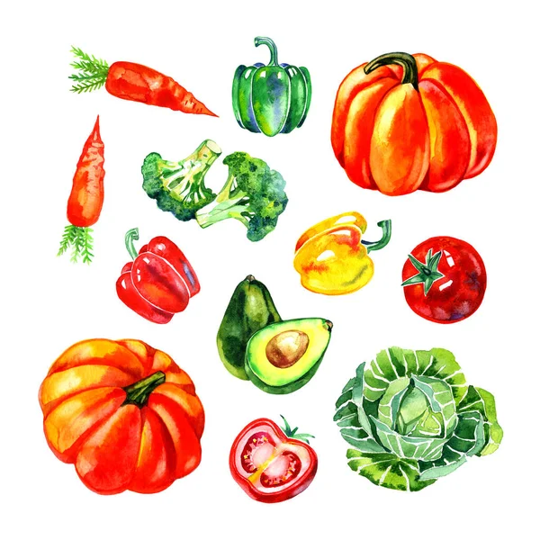 Aquarell-Gemüse. Aquarell-Gemüseset vorhanden. Illustration frischer vegetarischer Lebensmittel. — Stockfoto