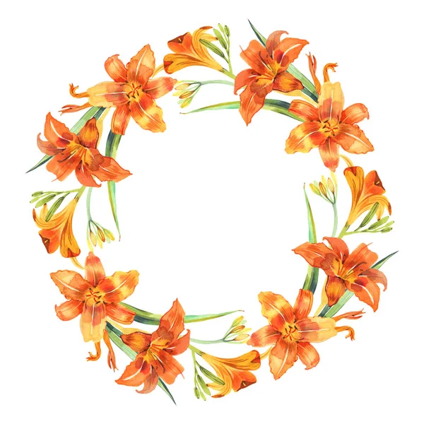 Flower background with orange lilies isolated on white background — Stock Photo, Image