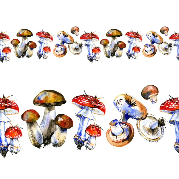 Ручной рисунок акварели бесшовные горизонтальные границы иллюстрации гриб. Лесной лесхоз. Дикий здоровый органический ингридиент. Осенний летний гриб. Король — стоковое фото