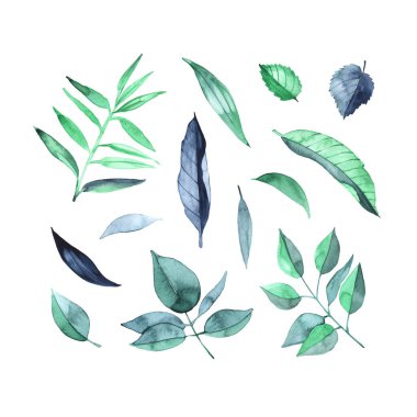 Beyaz arka planda yeşil suluboya yaprakları ve çimenler