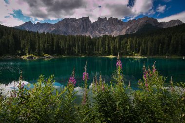 Lago di Carezza, Kuzey İtalya Dolomites son derece net bir gölde. Görüş mesafesi 30'dan fazla ayak aşağı günlükleri Bkz:, balık ve kum. Olarak da bilinen gökkuşağı göl