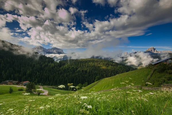 Paisaje Verano Los Alpes Italianos — Foto de Stock