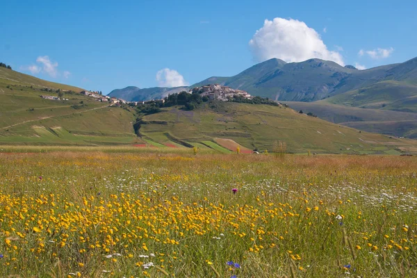 Ειδυλλιακή Άποψη Της Castelluccio Norcia Λουλούδια Καλοκαίρι — Φωτογραφία Αρχείου