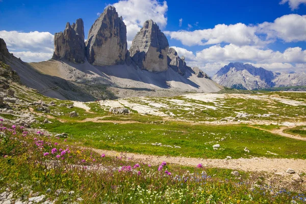 Drei Zinnen Tre Cime Lavaredo Con Hermoso Prado Floreciente Sextener — Foto de Stock