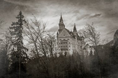 Neuschwanstein Şatosu gizemli görünümü ile Bavyera Alpleri, Almanya siste