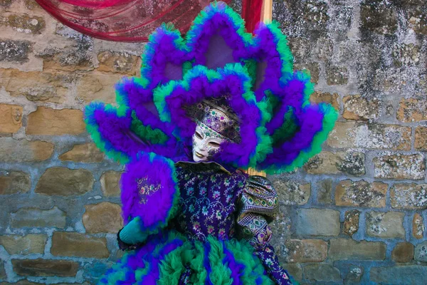 意大利卡斯蒂吉翁菲波奇 2019年2月17日 卡斯蒂吉翁菲博奇传统狂欢节面具的肖像 — 图库照片