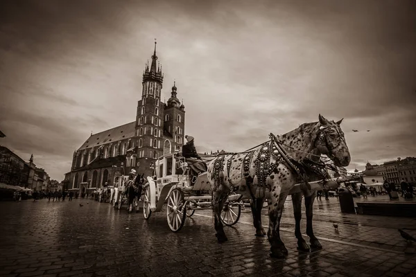 Krakow Poland March 2019 Horse Carriage Medieval Rynek Gwny Square — 图库照片