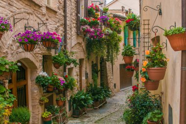 Çiçek yarışması sırasında İtalya 'nın orta kesimindeki Umbria bölgesinde harika bir ortaçağ kasabası. Spello köyündeki eski caddenin romantik manzarası