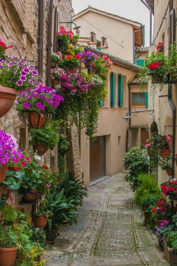 Umbria çiçekli balkon ile Spello ortaçağ köyü romantik görünümü