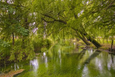 Yeşil Clitunno nehri ile pastoral manzara