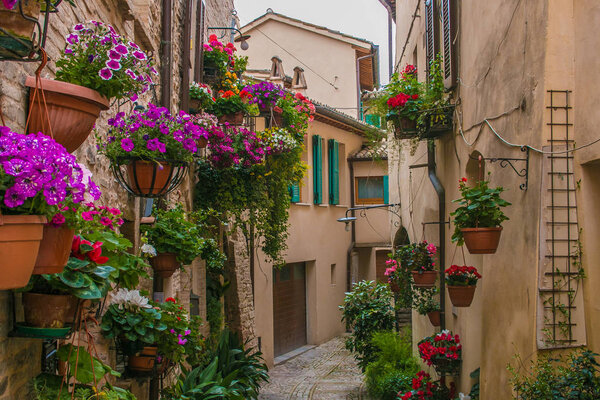 Wonderful alley with colored flowers in the medieval Spello village, Italy