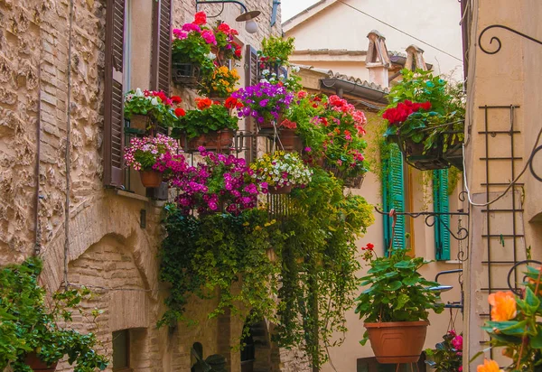 Geweldig Romantisch Bloeiende Balkon Het Middeleeuwse Centrum Van Spello Village — Stockfoto