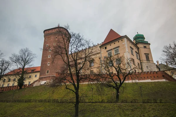 Panoramiczny Widok Wawel Krakowie Czasie Zimowym — Zdjęcie stockowe