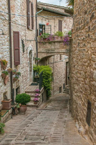 Arco Con Florero Centro Medieval Spello Umbría —  Fotos de Stock