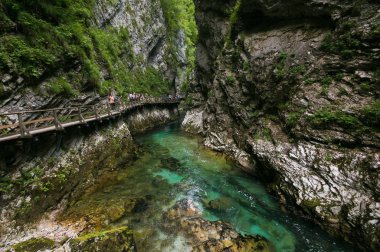 Soteska Vintgar The Vintgar Gorge veya Bled Gorge'un Slovenya'daki panoramik manzarası. Nehir Radovna şelaleler ve ahşap köprüler yolu ile ünlü kanyon. Slovenya'nın turistik simgesi