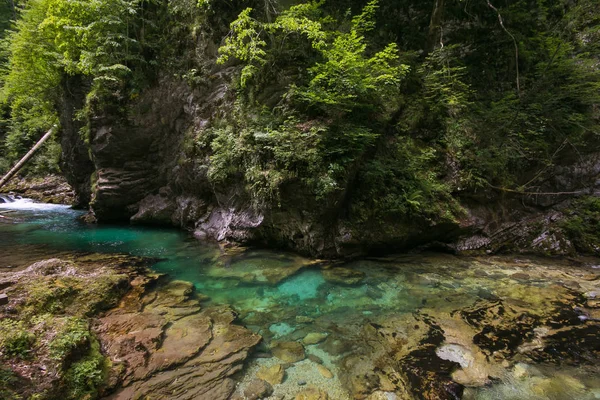 The 1.6 km long Vintgar gorge carves its way through the vertical rocks of the Hom and Bort hills and is graced by the Radovna with its waterfalls, pools and rapids