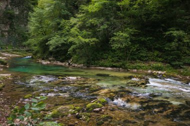 Slovenya'da Vintgar geçidinin güzel manzarası