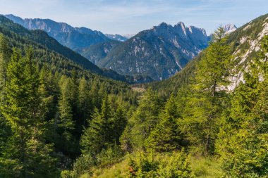 Julian alplerinde vahşi doğa, Slovenya