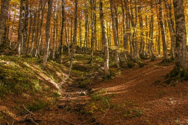 Prati di Tivo 'nun sonbahar manzarası, Gran Sasso, Abruzzo