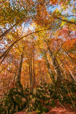 İtalya 'daki Abruzzo Dağı' nda sonbahar manzarası