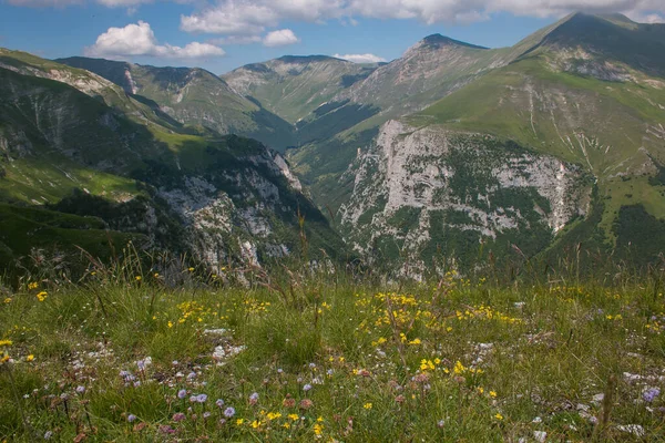 Monti Sibillini Marche Talya Ulusal Parkında Sarı Çiçekli Sibilla Dağının — Stok fotoğraf