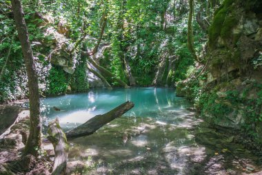Umbria, İtalya 'daki Castel di Fiori köyü yakınlarındaki vahşi ormanda doğal havuz manzarası