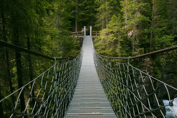 Kilátás Felfüggesztett Tibeti Hídra Paneveggio Pale San Martino Természeti Parkban — Stock Fotó