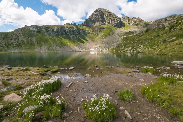 Sommerblick Auf Den See Von Bombasel Den Cermis Alpen Trentino — Stockfoto