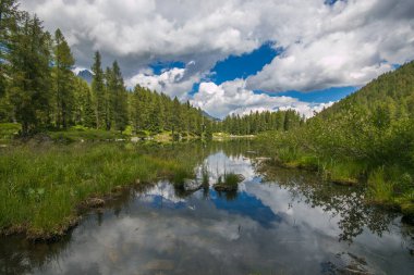 San Pellegrino Gölü 'nün panoramik manzarası bir yaz günü İtalyan Dolomitleri' nde yüksek bir dağ geçidi.