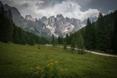 İtalya 'nın Trentino şehrinde yaz yağmuru sırasında Val Venegia' nın karanlık manzarası