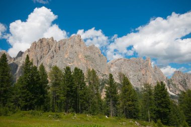 Güneşli yaz gününde Val di Fassa, Trentino 'da Dolomitlerin görüntüsü