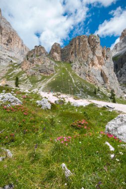 Trentino Alto-Adige 'de güneşli bir günde Val di Fassa' da dolomitlerin yaz manzarası