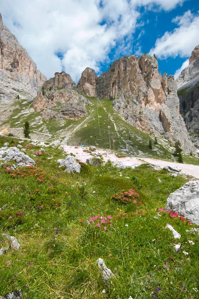 Vista Verano Dolomitas Val Fassa Día Soleado Trentino Alto Adige — Foto de Stock