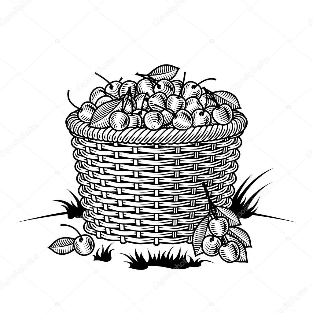 Retro basket of cherries black and white. Editable vector illustration with clipping mask in woodcut style.