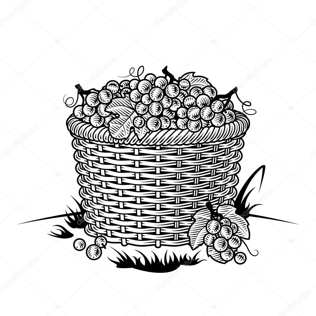 Retro basket of grapes black and white. Editable vector illustration with clipping mask in woodcut style.