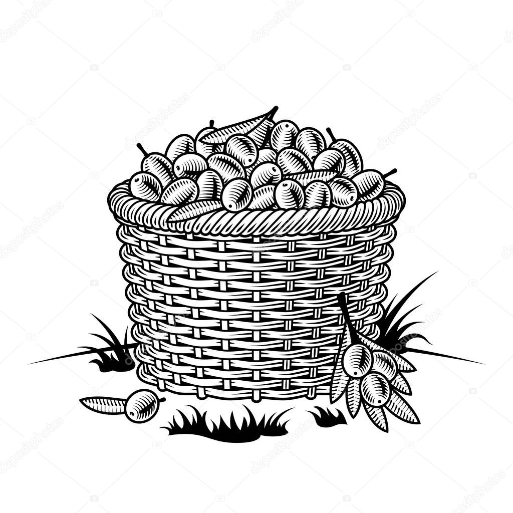 Retro basket of olives black and white. Editable vector illustration with clipping mask in woodcut style.