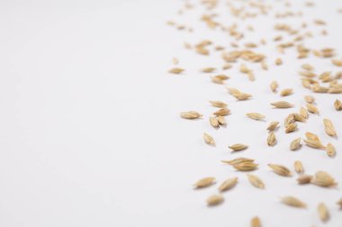 Beyaz bir arka plan üzerinde Mısır tahıl