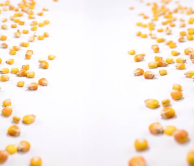 Beyaz bir arka plan üzerinde Mısır tahıl