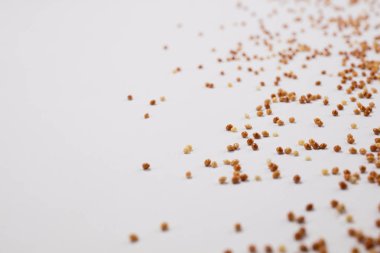 Beyaz arka plan üzerinde dağınık darı tahıl