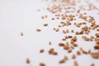 Beyaz arka plan üzerinde dağınık buğday tahıl