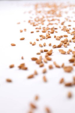 Beyaz arka plan üzerinde dağınık buğday tahıl