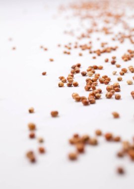 Beyaz arka plan üzerinde dağınık fasulye