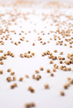 Beyaz arka plan üzerinde dağınık fasulye