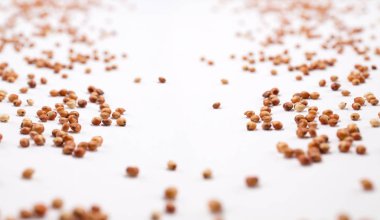 Beyaz arka plan üzerinde dağınık fasulye