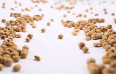 Beyaz arka plan üzerinde dağınık fasulye