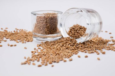 Makro yakın çekim beyaz zemin üzerinde bir cam kavanoza bir dağınık buğday tanelerinin görünümü