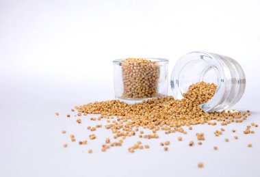 beyaz zemin üzerinde bir cam kavanoza bir fasulye üstten görünüm